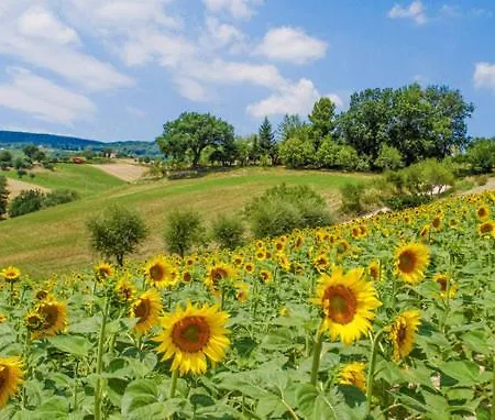 Casa Ricci بيت للعطل Cossignano